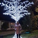 ���� ����, ������, 60 ��� - ��������� 12 ������� 2024 � ������ ���� ����������