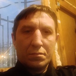 ����, �����-���������, 44 ����