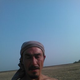 , 42 , 