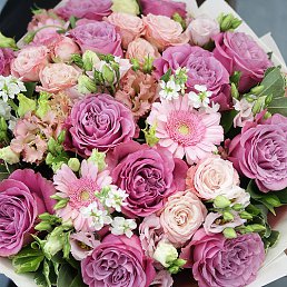 ���� Alex, ������, 47 ��� - ��������� 27 ������ 2024