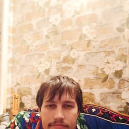, 29, 