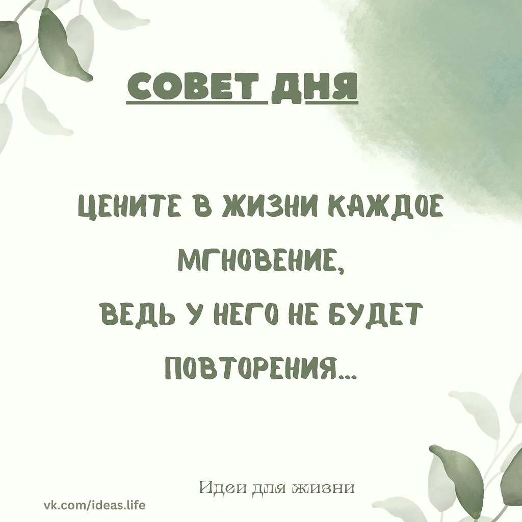 Каждое мгновение бесценно. Оно не повторится, как бы мы ни старались. Сегодняшний смех, случайная ...