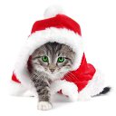 ���� Enni, ���� - ��������� 3 ������ 2024 � ������ ������ ��������