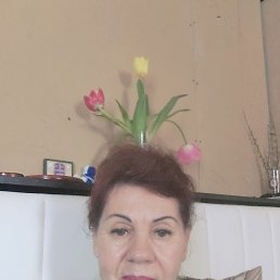 ���� ������, �����������, 65 ��� - ��������� 7 ���� 2026