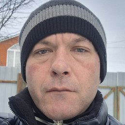 �����, ������, 41 ���