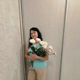 ���� �������, ���������, 63 ���� - ��������� 8 ���� 2026