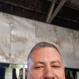 , 49,  