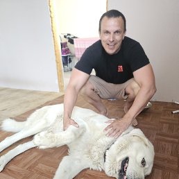 , 42, 