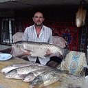 ���� ������, ������-��-����, 66 ��� - ��������� 29 ������� 2025 � ������ ���� ����������