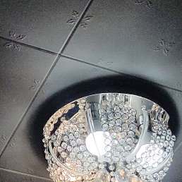 ����, ������, 37 ���