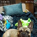 ���� �����, �������, 27 ��� - ��������� 11 ������� 2024 � ������ ���� ����������