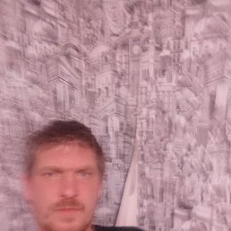 �����, 37 ���, ��������