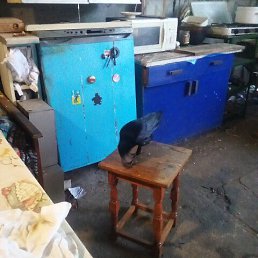 ���� �����, ������, 45 ��� - ��������� 13 ����� 2026