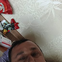 �����, �����������, 44 ����