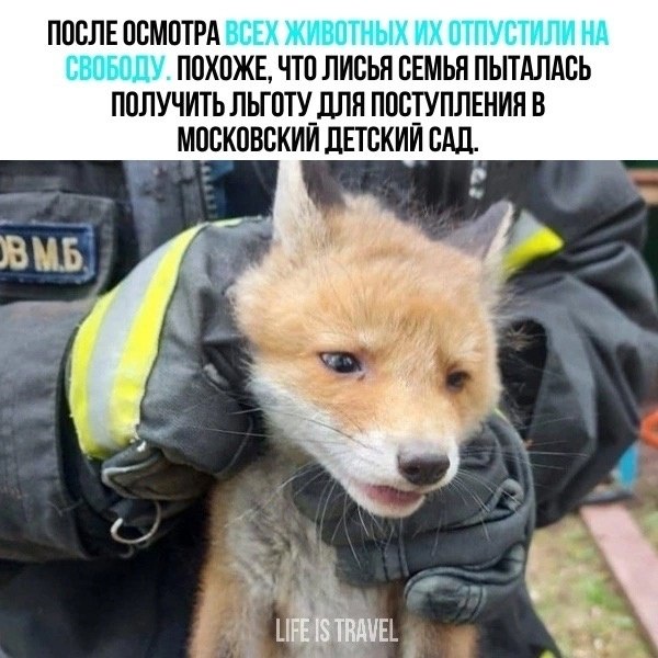 ������������ ����������� ������.� ����� ������ ������� ������������ ��������� �������, ��������� ... - 3
