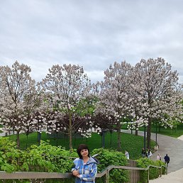 , 49, 
