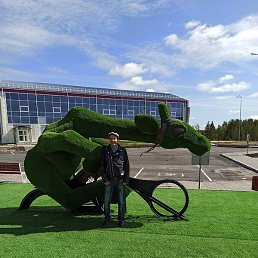 ���������, ��������, 43 ����