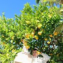 ���� �������, �������, 61 ��� - ��������� 23 ������� 2025