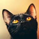 ���� ���������, ������, 32 ���� - ��������� 2 ������ 2025 � ������ ���� ����������