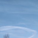 ���� �������, �������, 44 ���� - ��������� 22 ������� 2024 � ������ ���� ����������