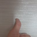 ���� ����, ������, 40 ��� - ��������� 8 ���� 2024 � ������ ���� ����������