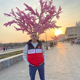 ������, ������, 38 ���