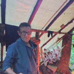 ���� ����, ���������, 54 ���� - ��������� 16 ������ 2025