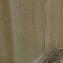 ������, ������, 67 ���