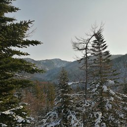 ���� �����, ������, 47 ��� - ��������� 10 ������� 2025