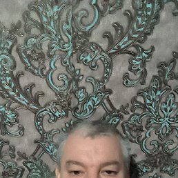 ����, 46 ���, �����������