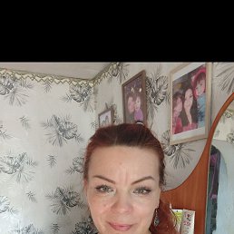 ���� ����, �����, 40 ��� - ��������� 17 ���� 2025