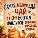 ���� ������, ������ - ��������� 8 ���� 2026 � ������ ������ ��������