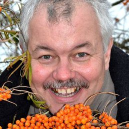 �����, �����������, 64 ����