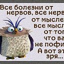 ���� �������, ����� - ��������� 17 �������� 2025 � ������ ������ ��������