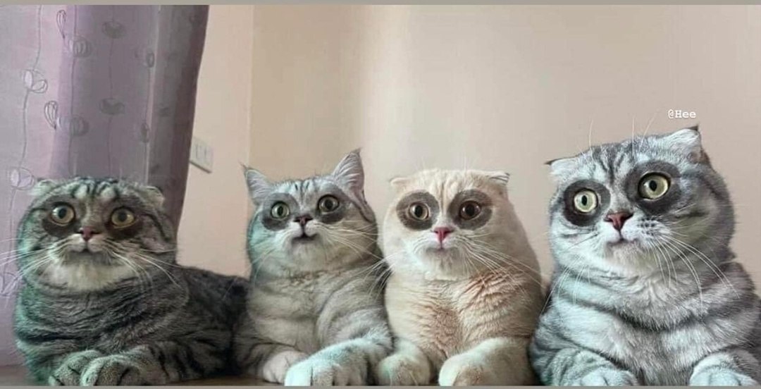         5 )))