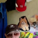 ���� ������, ������� ��������, 67 ��� - ��������� 14 ������ 2024