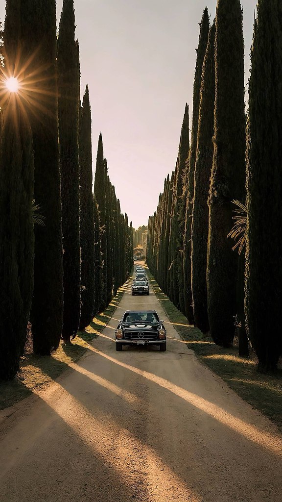 �������, ������