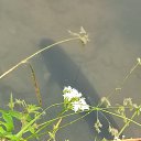 ���� ������, ��������� - ��������� 15 ������� 2024 � ������ ���� ����������