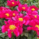 ���� ������, ����-���������, 56 ��� - ��������� 4 ������� 2024 � ������ ���� ����������