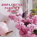 ���� ����, �������� - ��������� 9 ����� 2025 � ������ ������ ��������