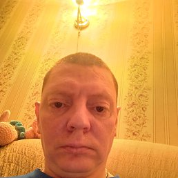 ������, 41 ���, ��������