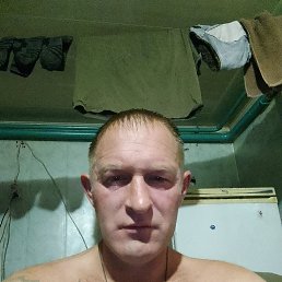, 41 , 