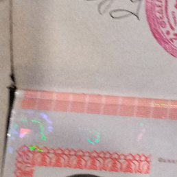 , 41 , 