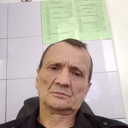 , 61, 