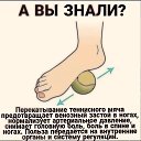 ���� ��������, ������, 84 ���� - ��������� 7 ��� 2026 � ������ ������ ��������
