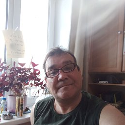 ���� ����, ������, 49 ��� - ��������� 8 ����� 2026