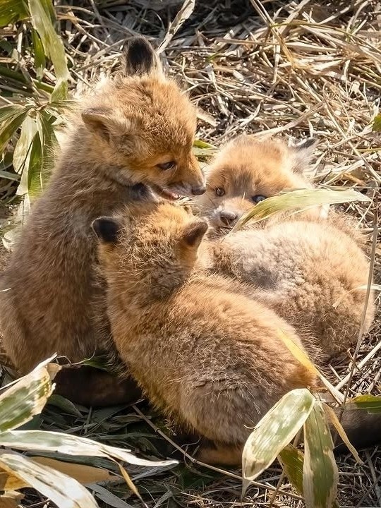   ,      !      ... - 5