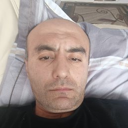 , 44, 