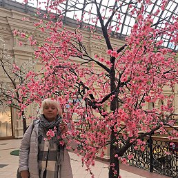 ��������, ������, 50 ���