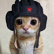 ������, 40 ���, ������